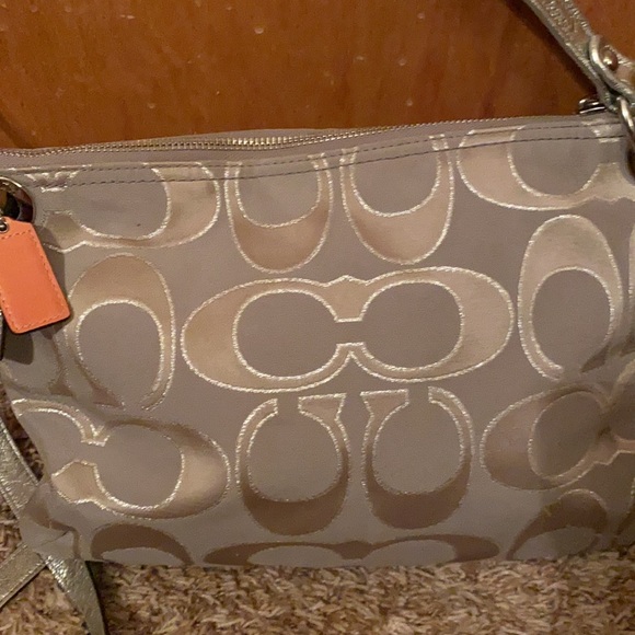 Silver Coach - Picture 8 of 11